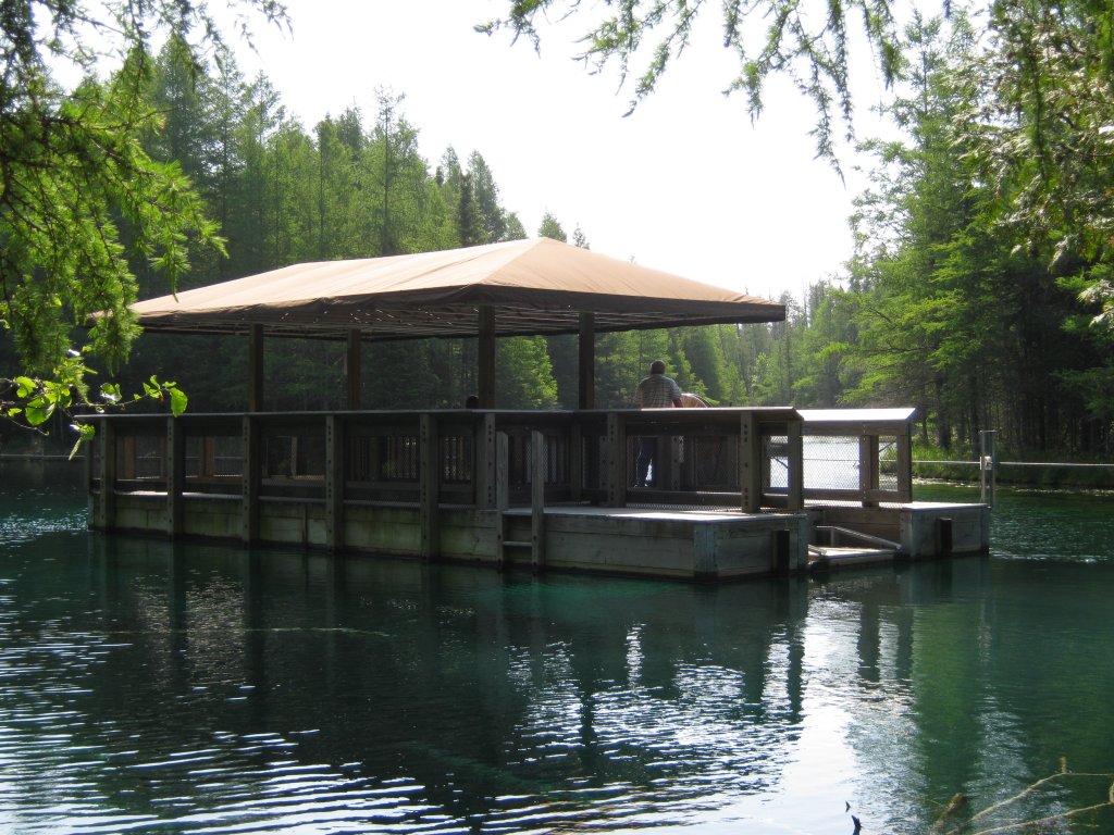 Radeau d'observation de Kitch-iti-kipi dans le Michigan Radeau d'observation de Kitch-iti-kipi dans le Michigan