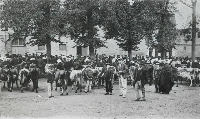 35 cartes postales vintage de la bretagne rurale vers 1900 35 cartes postales vintage de la bretagne rurale vers 1900 france campagne 5 35-cartes-postales-vintage-de-la-bretagne-rurale-vers-1900-france-campagne