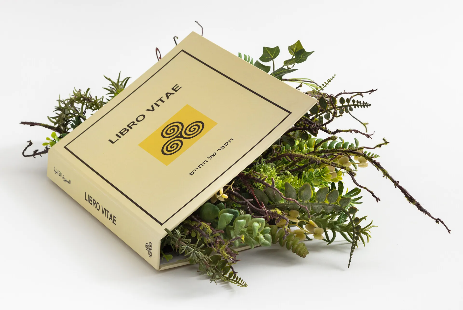 Des branches et des feuilles poussent des objets du quotidien par Camille Kachani Des branches et des feuilles poussent des objets du quotidien par Camille Kachani 4 Des-branches-et-des-feuilles-poussent-des-objets-du-quotidien-par-Camille-Kachani