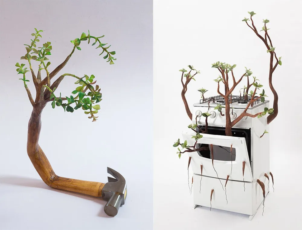 Des branches et des feuilles poussent des objets du quotidien par Camille Kachani Des branches et des feuilles poussent des objets du quotidien par Camille Kachani 9 Des-branches-et-des-feuilles-poussent-des-objets-du-quotidien-par-Camille-Kachani