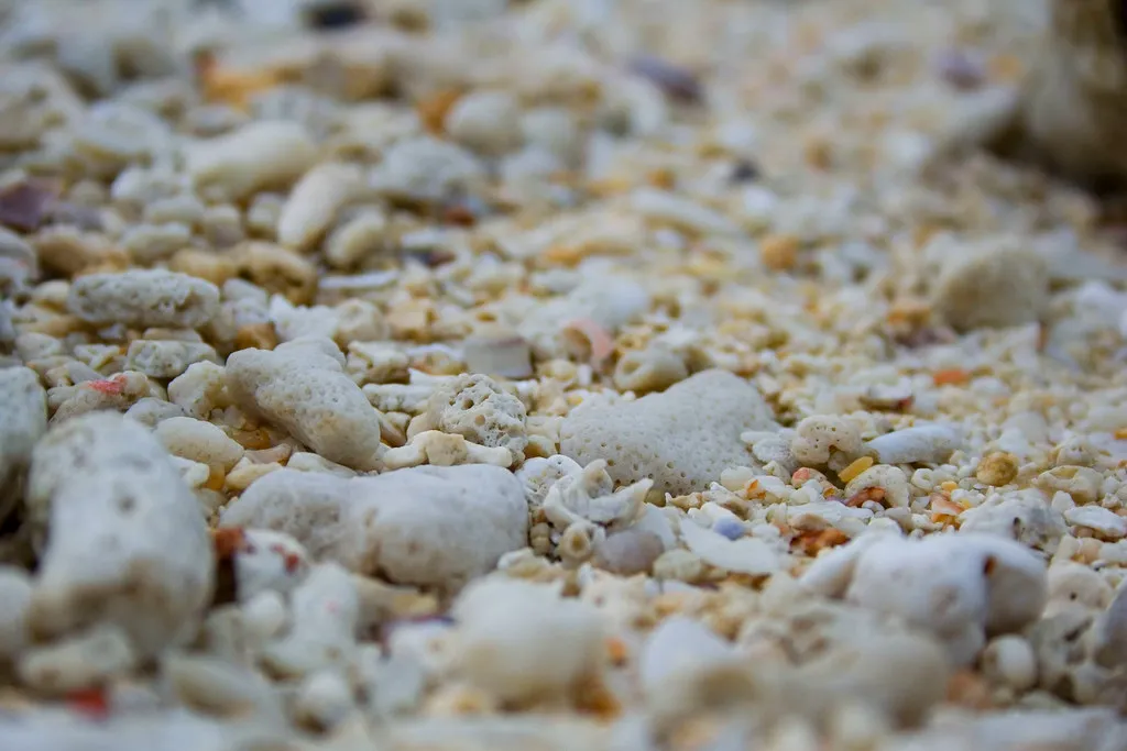 Les plages de sable en étoile du Japon Les plages de sable en etoile du Japon 3 Les-plages-de-sable-en-etoile-du-Japon