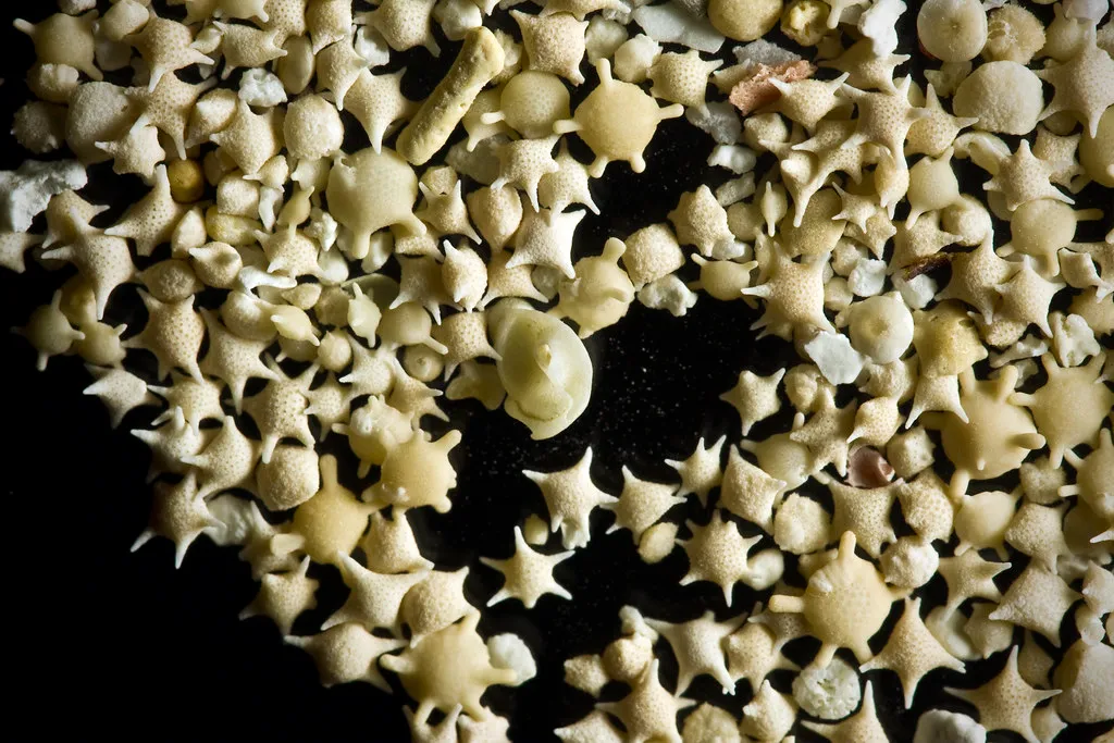 Les plages de sable en étoile du Japon Les plages de sable en etoile du Japon 4 Les-plages-de-sable-en-etoile-du-Japon
