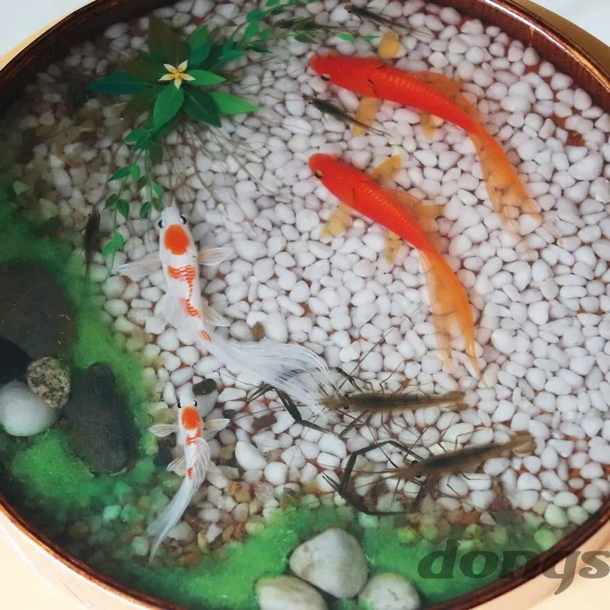 Les stupefiantes peintures en résine 3D de carpes koi et de dragons de Feif Dong Les stupefiantes peintures en resine 3D de carpes koi et de dragons de Feif Dong 13 Les stupefiantes peintures en resine 3D de carpes koi et de dragons de Feif Dong 13