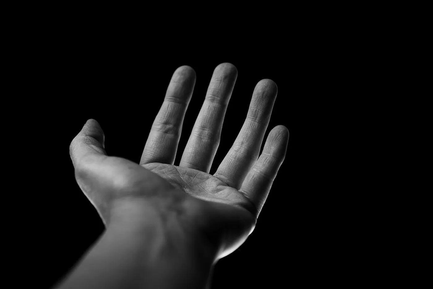 Project Hands - des portraits de mains par Anelia Loubser Project Hands des portraits de mains par Anelia Loubser 1 Project-Hands-des-portraits-de-mains-par-Anelia-Loubser