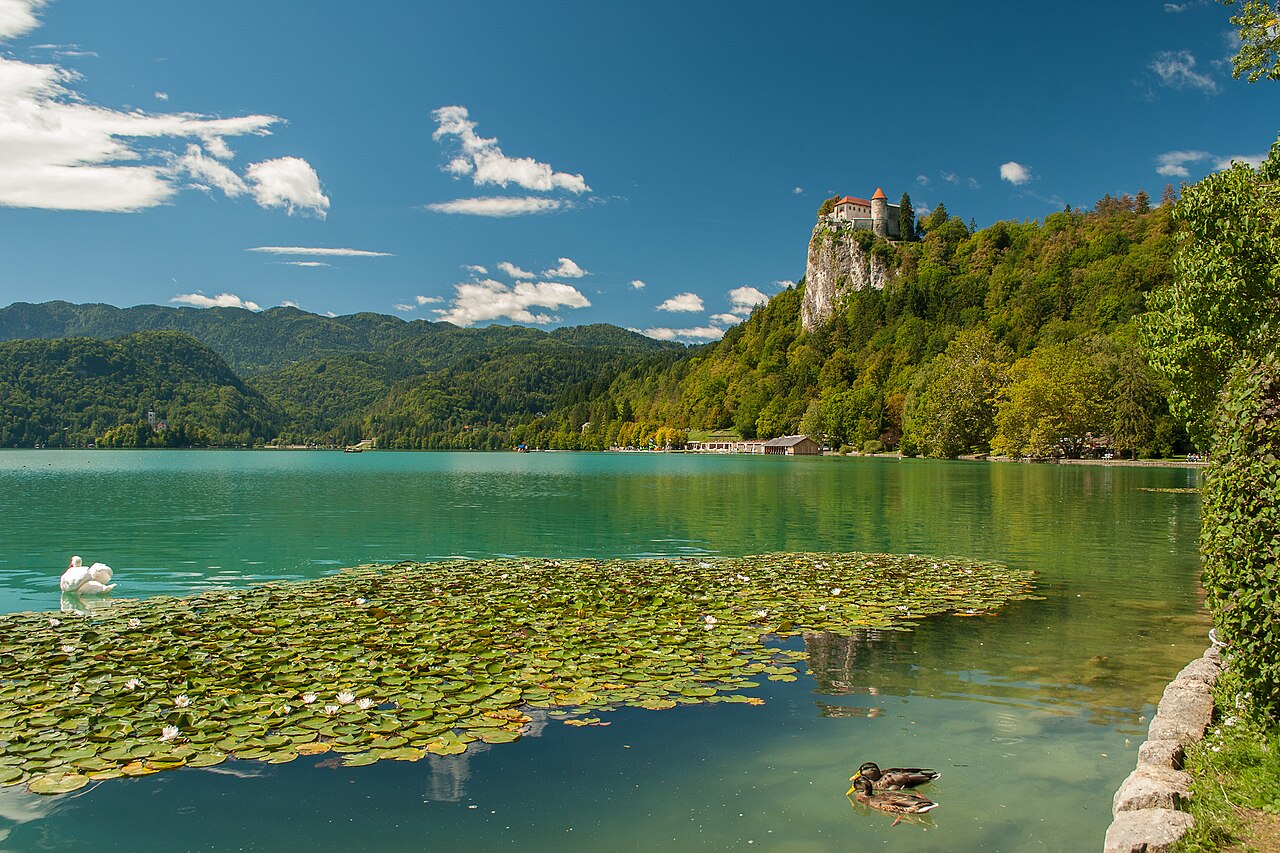 Château de Bled dominant le lac en Slovénie Château de Bled dominant le lac en Slovénie