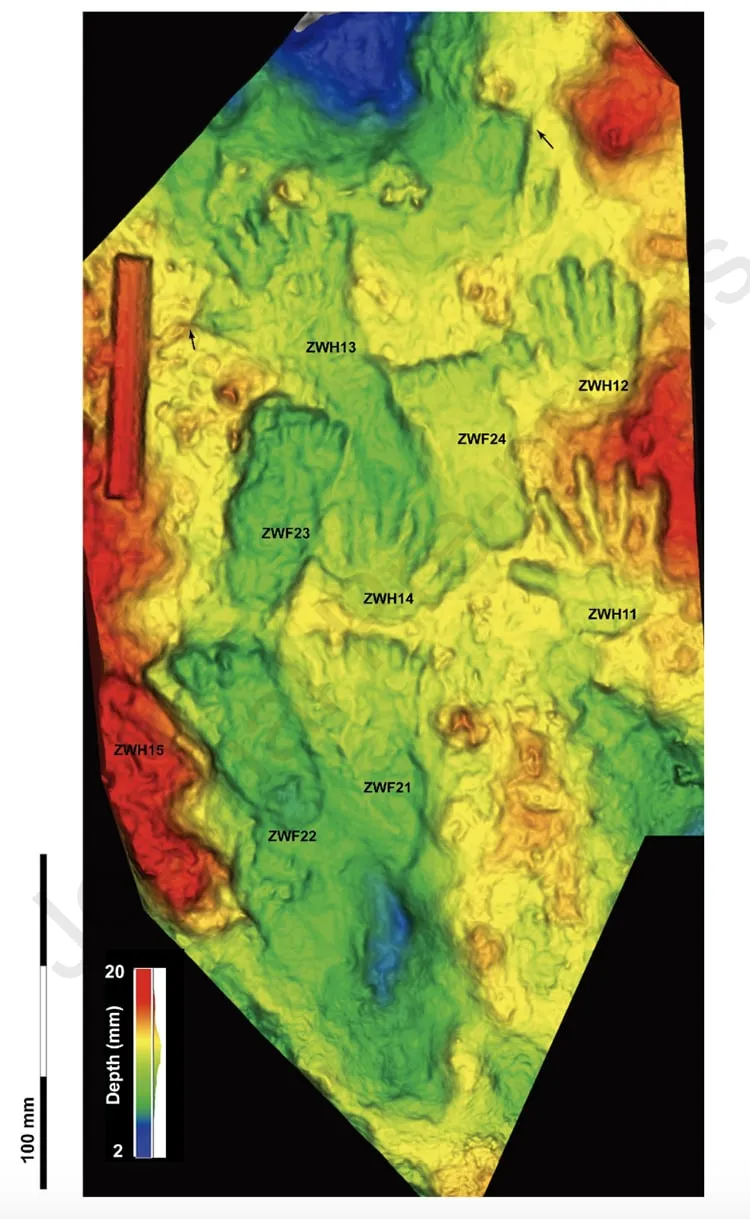 Des archéologues découvrent des empreintes de mains d'enfants dans une grotte de 200 000 ans Des archeologues decouvrent des empreintes de mains d enfants dans une grotte de 200000 ans 2 Des archeologues decouvrent des empreintes de mains d enfants dans une grotte de 200000 ans 2