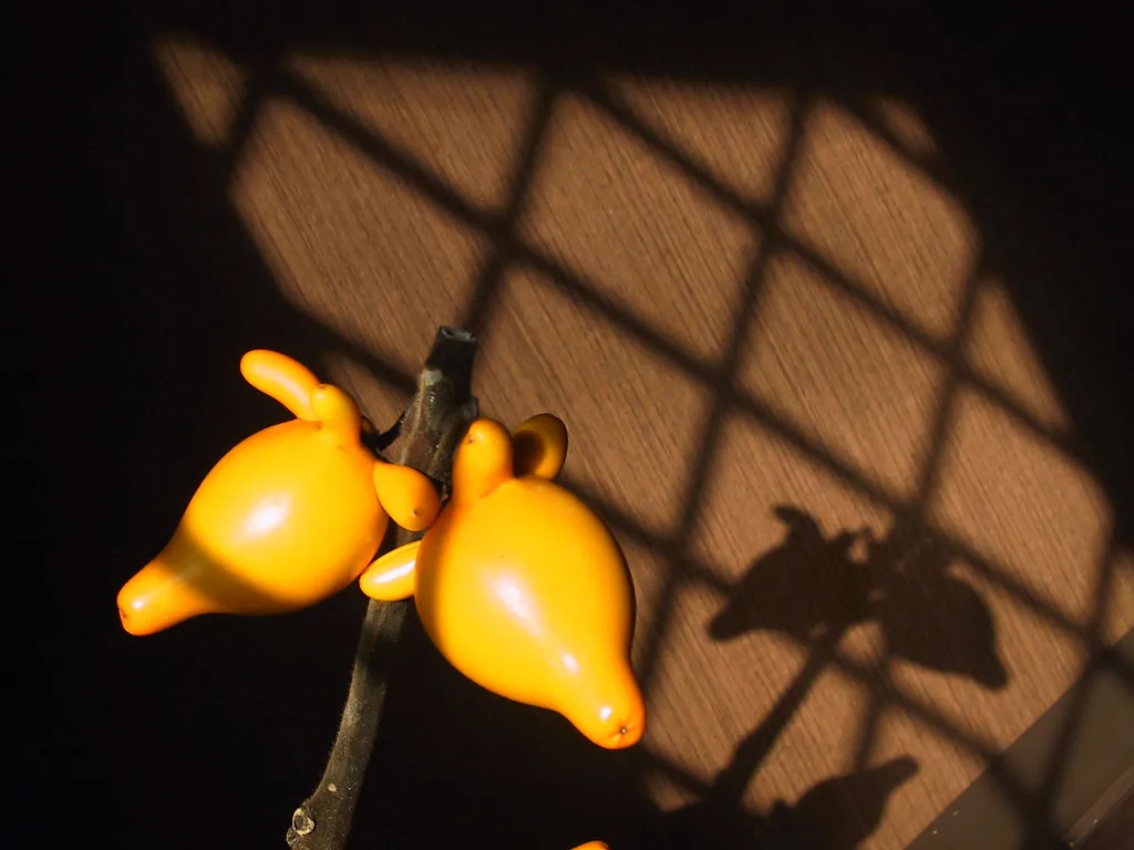 L'étrange fruit de la morelle mammiforme ou pomme téton L etrange fruit de la morelle mammiforme ou pomme teton pis de vache doigts 3 L-etrange-fruit-de-la-morelle-mammiforme-ou-pomme-teton-pis-de-vache-doigts