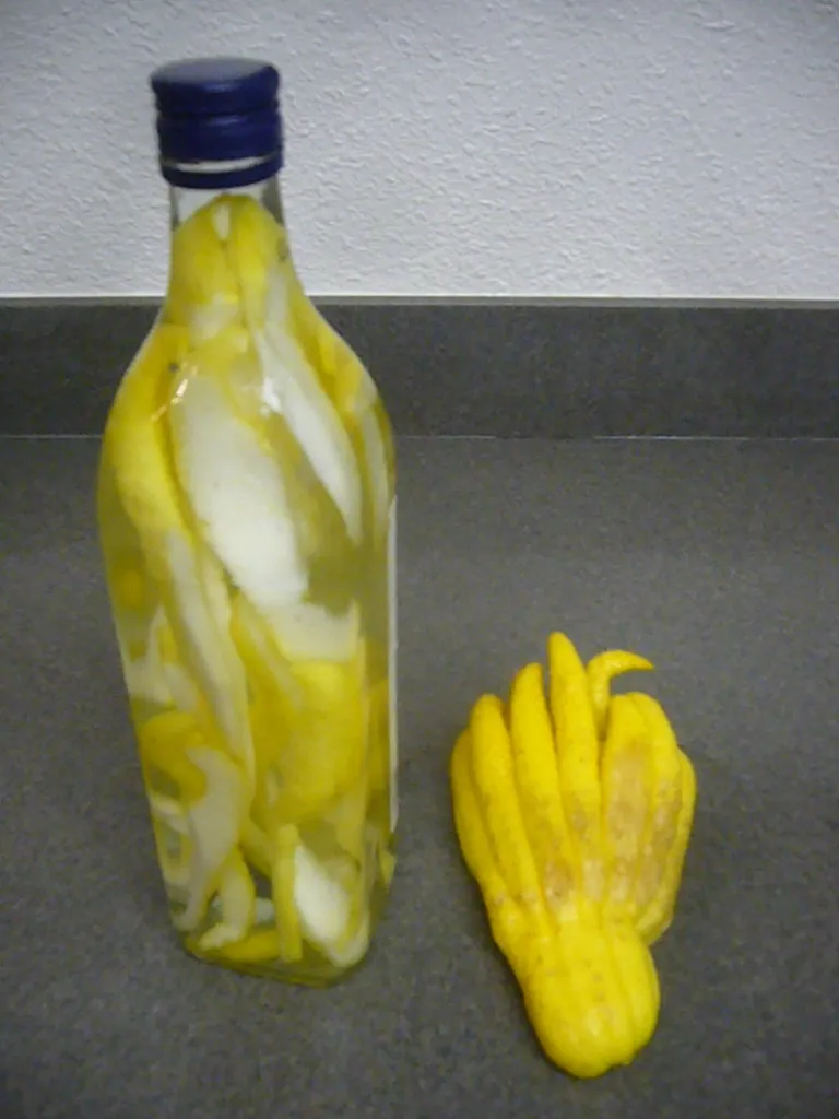 La main de Bouddha , un curieux fruit asiatique La main de Bouddha un curieux fruit asiatique 11 La-main-de-Bouddha-un-curieux-fruit-asiatique-11