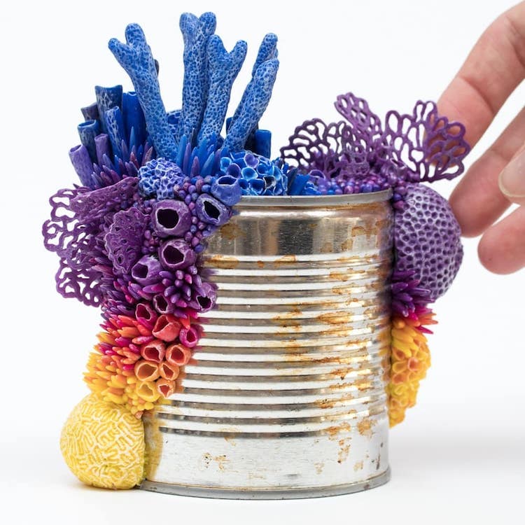 La nature reprend ses droits sur les déchets : les écosystèmes coralliens de Stéphanie Kilgast La transformation de dechets en ecosysteme par Stephanie Kilgast 7 La-transformation-de-dechets-en-ecosysteme-par-Stephanie-Kilgast-7