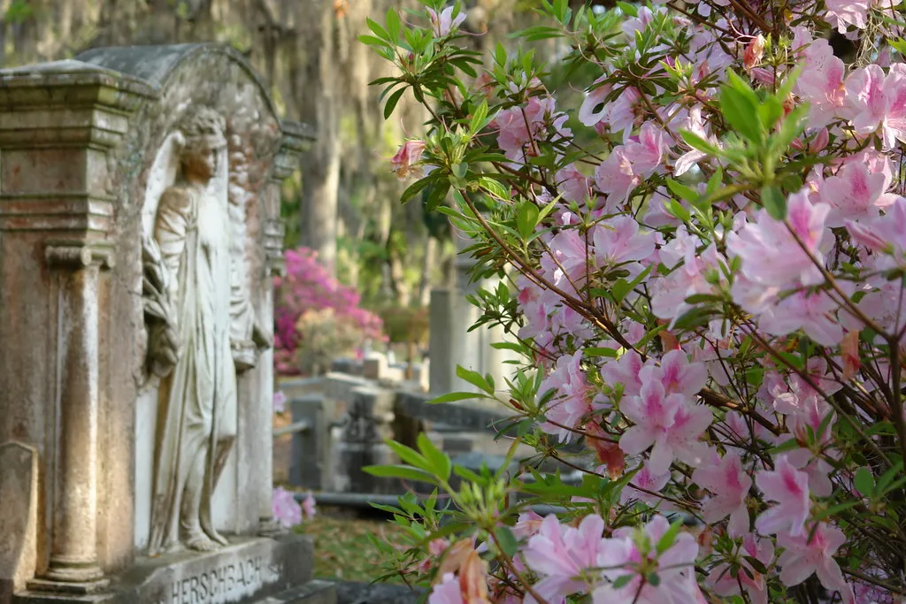 Le cimetière de Bonaventure, un des cimetières les plus ornés du monde Le cimetiere de Bonaventure un des cimetieres les plus ornes du monde 7 Le cimetiere de Bonaventure un des cimetieres les plus ornes du monde 7