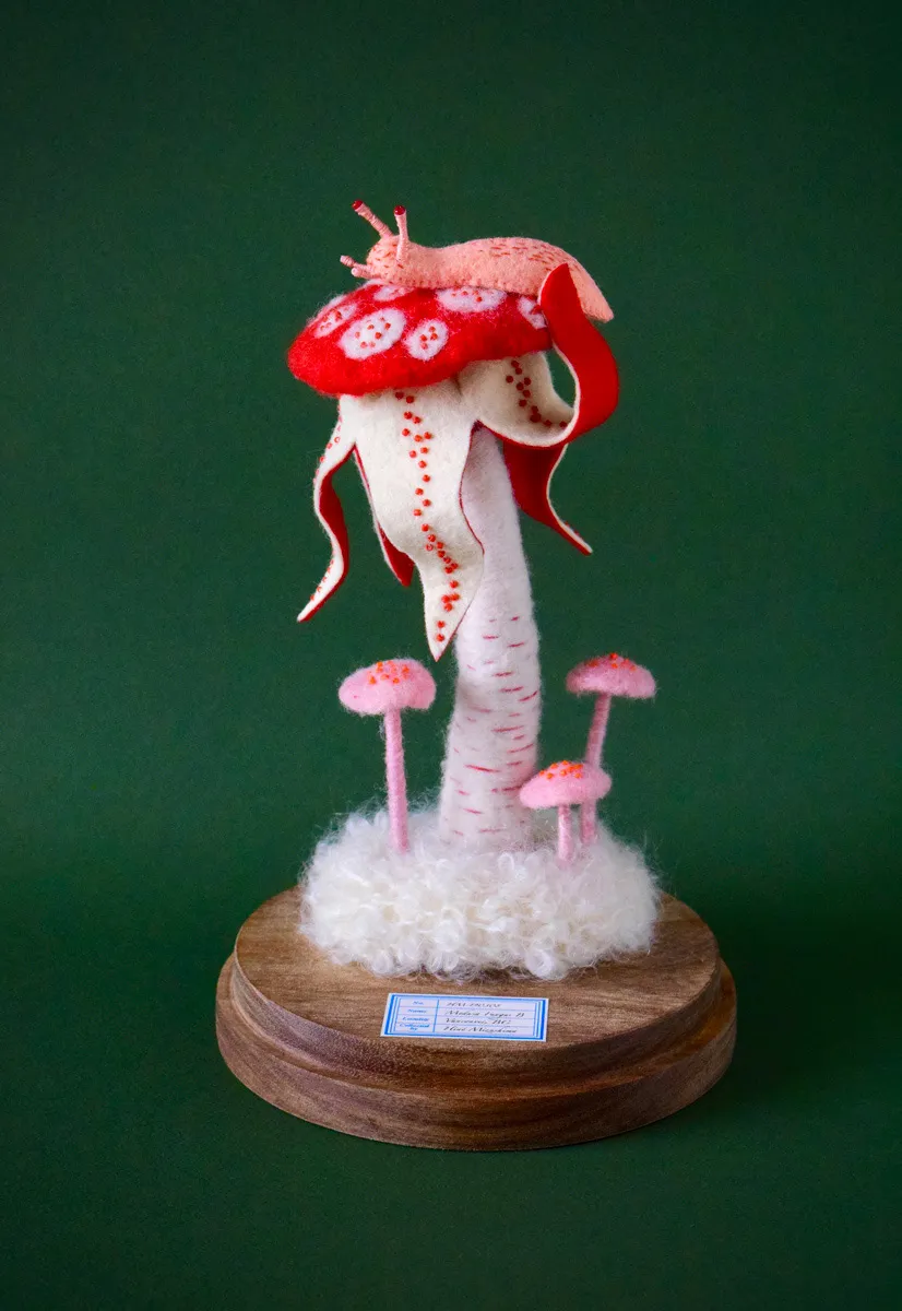 Les sculptures en peluche de Hine Mizushima Les sculptures en peluche de Hine Mizushima 11 champignon limace Les-sculptures-en-peluche-de-Hine-Mizushima-11-champignon-limace