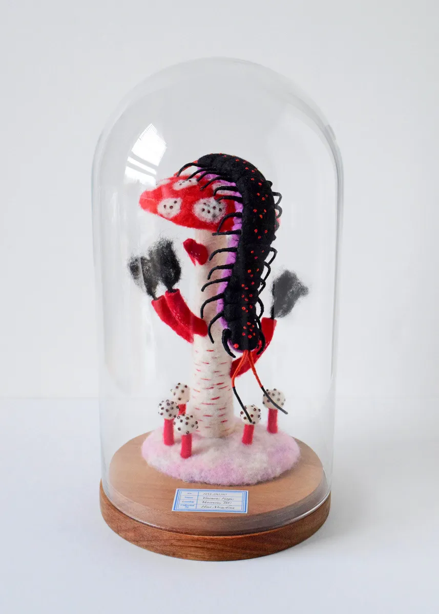 Les sculptures en peluche de Hine Mizushima Les sculptures en peluche de Hine Mizushima 6 scolopendre Les-sculptures-en-peluche-de-Hine-Mizushima-6-scolopendre