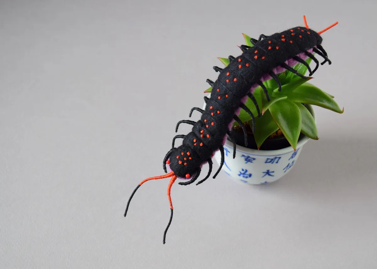 Les sculptures en peluche de Hine Mizushima Les sculptures en peluche de Hine Mizushima 7 scolopendre Les-sculptures-en-peluche-de-Hine-Mizushima-7-scolopendre