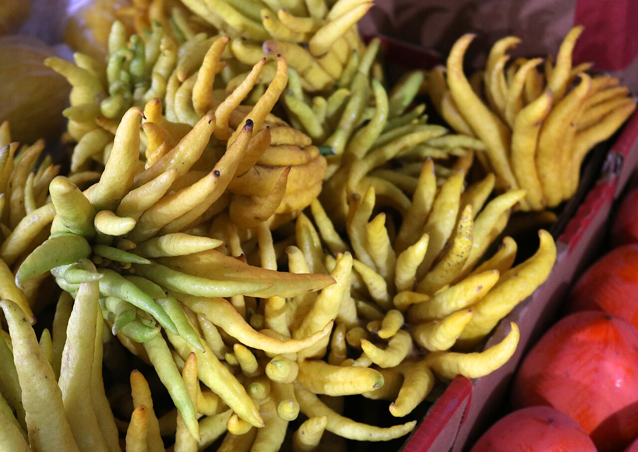 Mains de Bouddha jaunes vendues sur un marché Mains de Bouddha jaunes vendues sur un marché