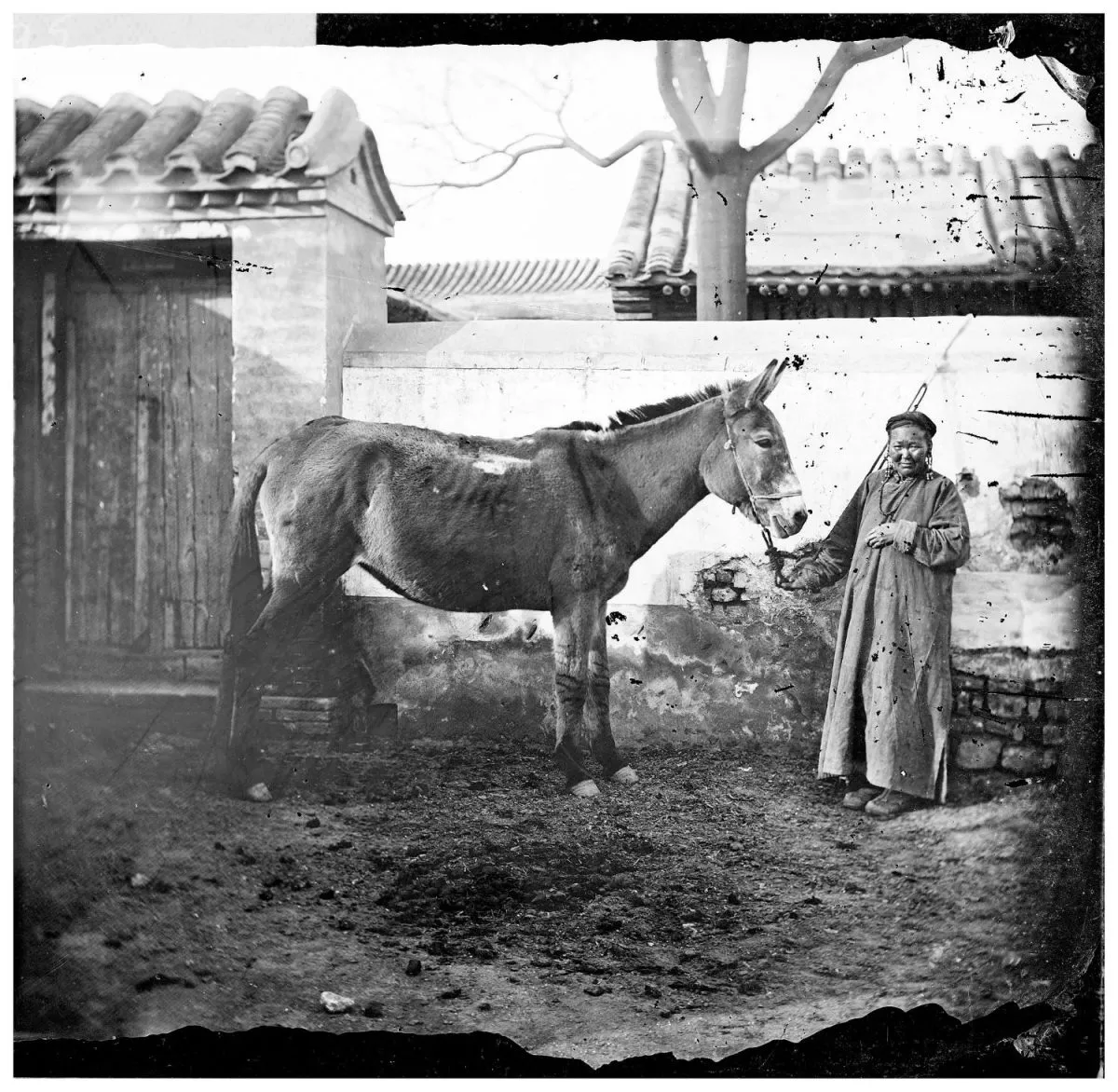Des photographies de la Chine des années 1870 par John Thomson Des photographies de la Chine des annees 1870 par John Thomson 13 mongole cheval Des-photographies-de-la-Chine-des-annees-1870-par-John-Thomson-13-mongole-cheval
