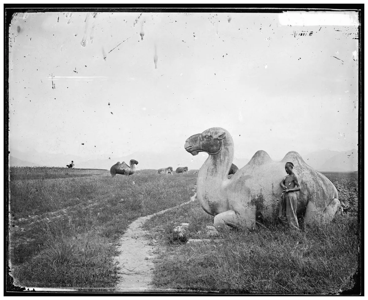 Des photographies de la Chine des années 1870 par John Thomson Des photographies de la Chine des annees 1870 par John Thomson 17 sculptures Des-photographies-de-la-Chine-des-annees-1870-par-John-Thomson-17-sculptures-chameaux