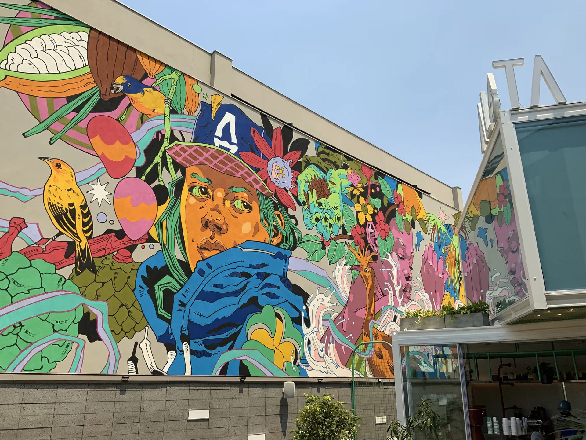 Les grandes fresques murales Bicicleta Sem Freio Les grandes fresques murales Bicicleta Sem Freio 3 goiania bresil Les grandes fresques murales Bicicleta Sem Freio 3 goiania bresil