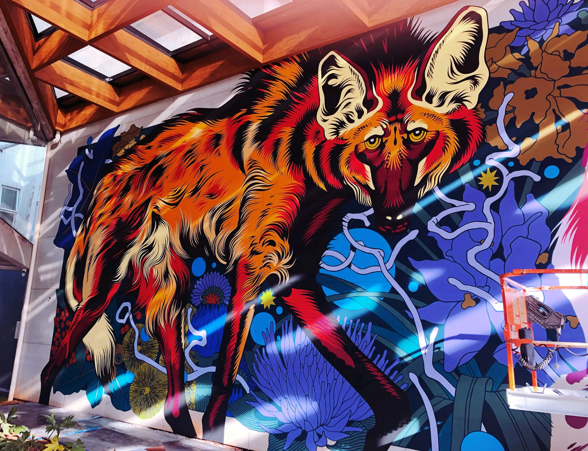 Les grandes fresques murales Bicicleta Sem Freio Les grandes fresques murales Bicicleta Sem Freio 5 goiania bresil Les grandes fresques murales Bicicleta Sem Freio 5 goiania bresil