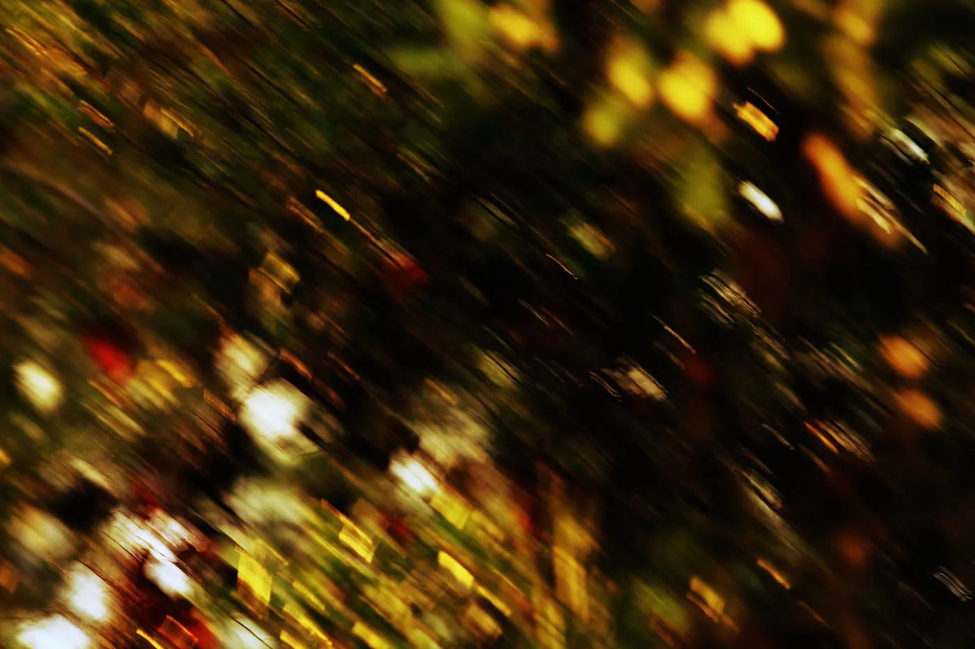 Quelques clichés d'automne par Alexandre Mounayer Quelques cliches d automne par Alexandre Mounayer 1 Quelques cliches d automne par Alexandre Mounayer 1