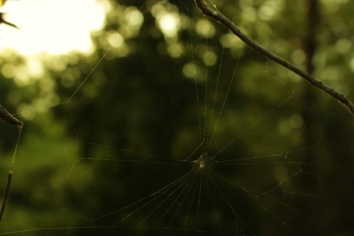 Quelques clichés d'automne par Alexandre Mounayer Quelques cliches d automne par Alexandre Mounayer 4 Quelques cliches d automne par Alexandre Mounayer 4