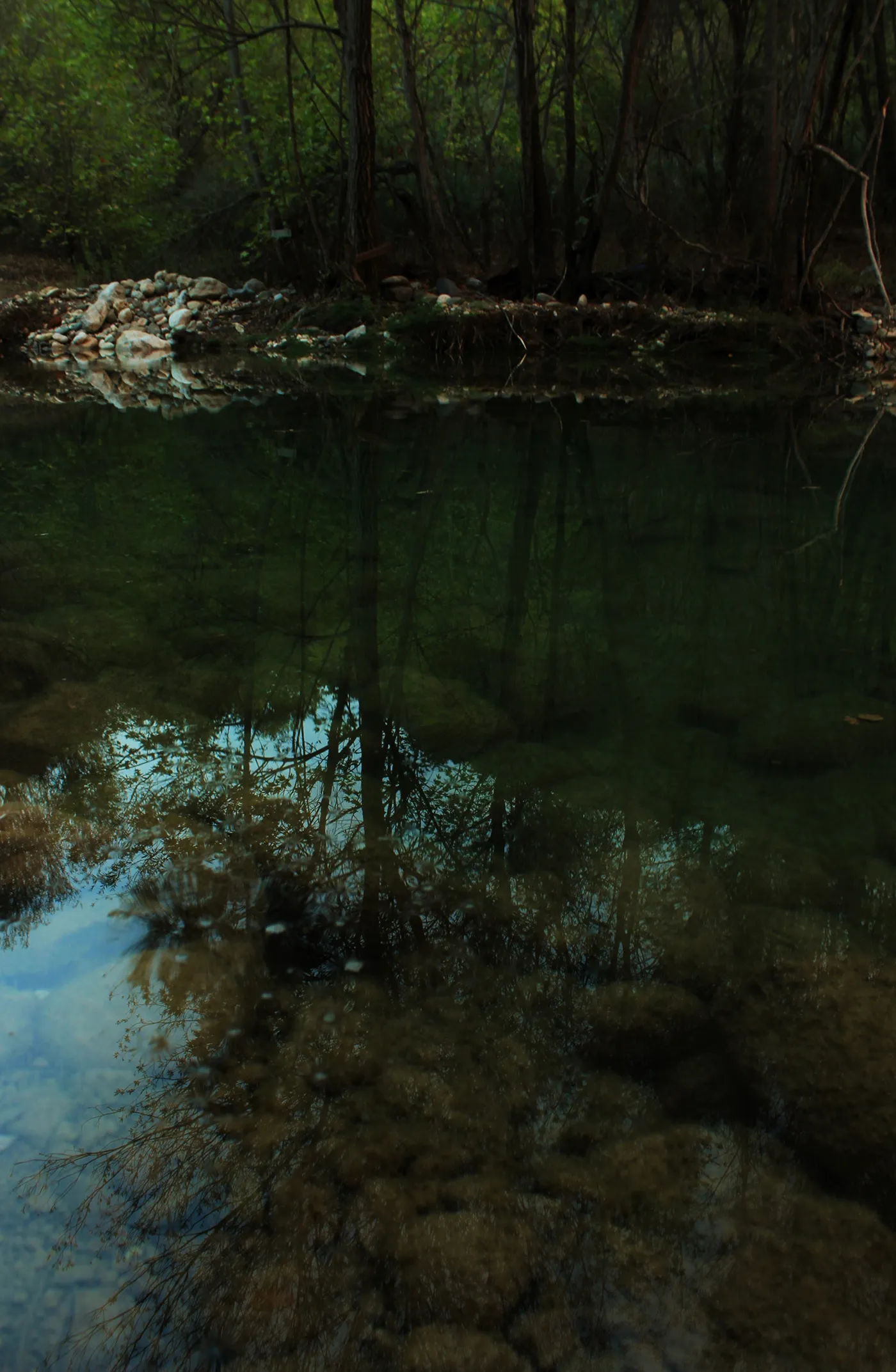 Quelques clichés d'automne par Alexandre Mounayer Quelques cliches d automne par Alexandre Mounayer 6 Quelques cliches d automne par Alexandre Mounayer 6