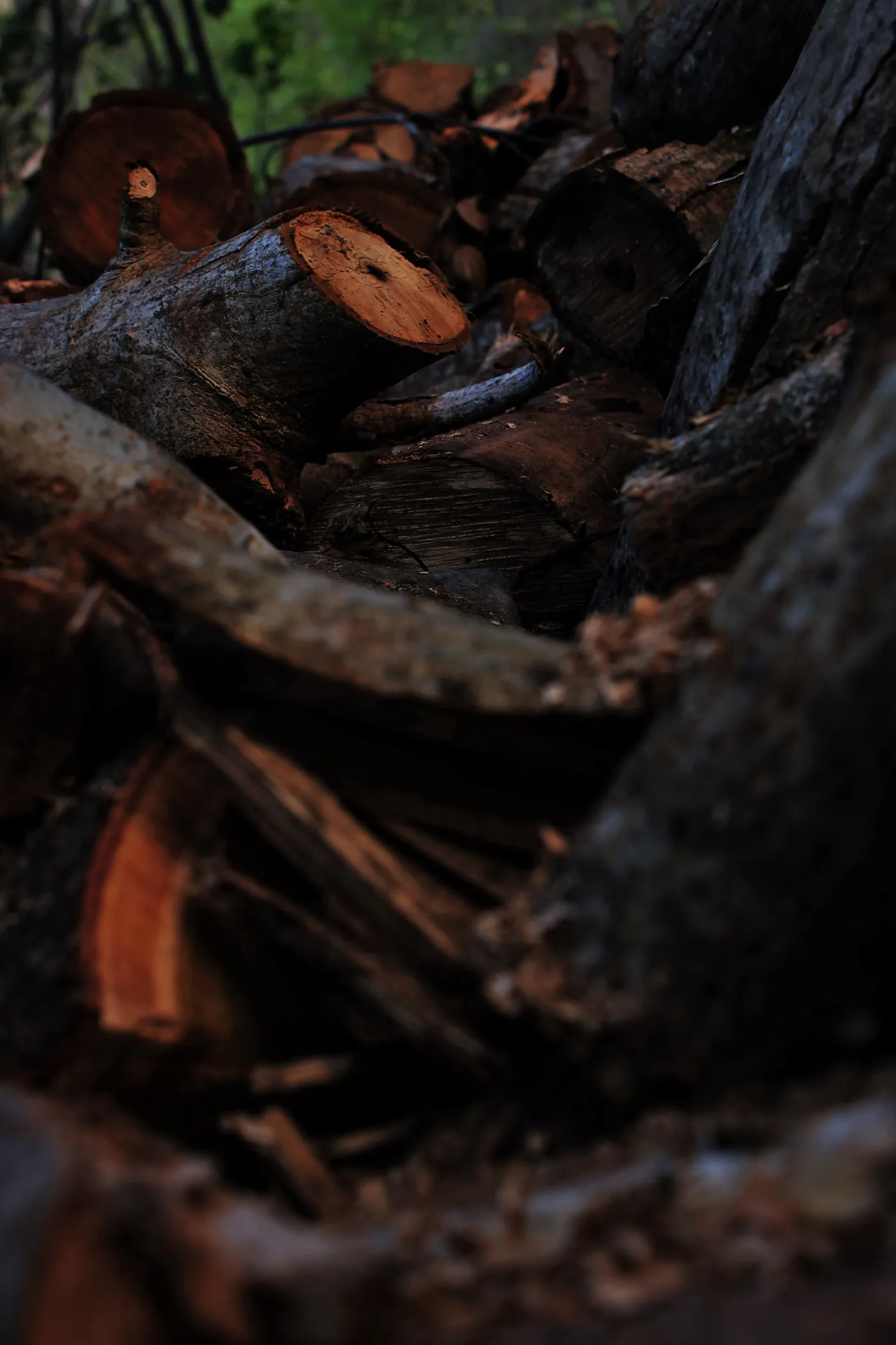 Quelques clichés d'automne par Alexandre Mounayer Quelques cliches d automne par Alexandre Mounayer 8 Quelques cliches d automne par Alexandre Mounayer 8