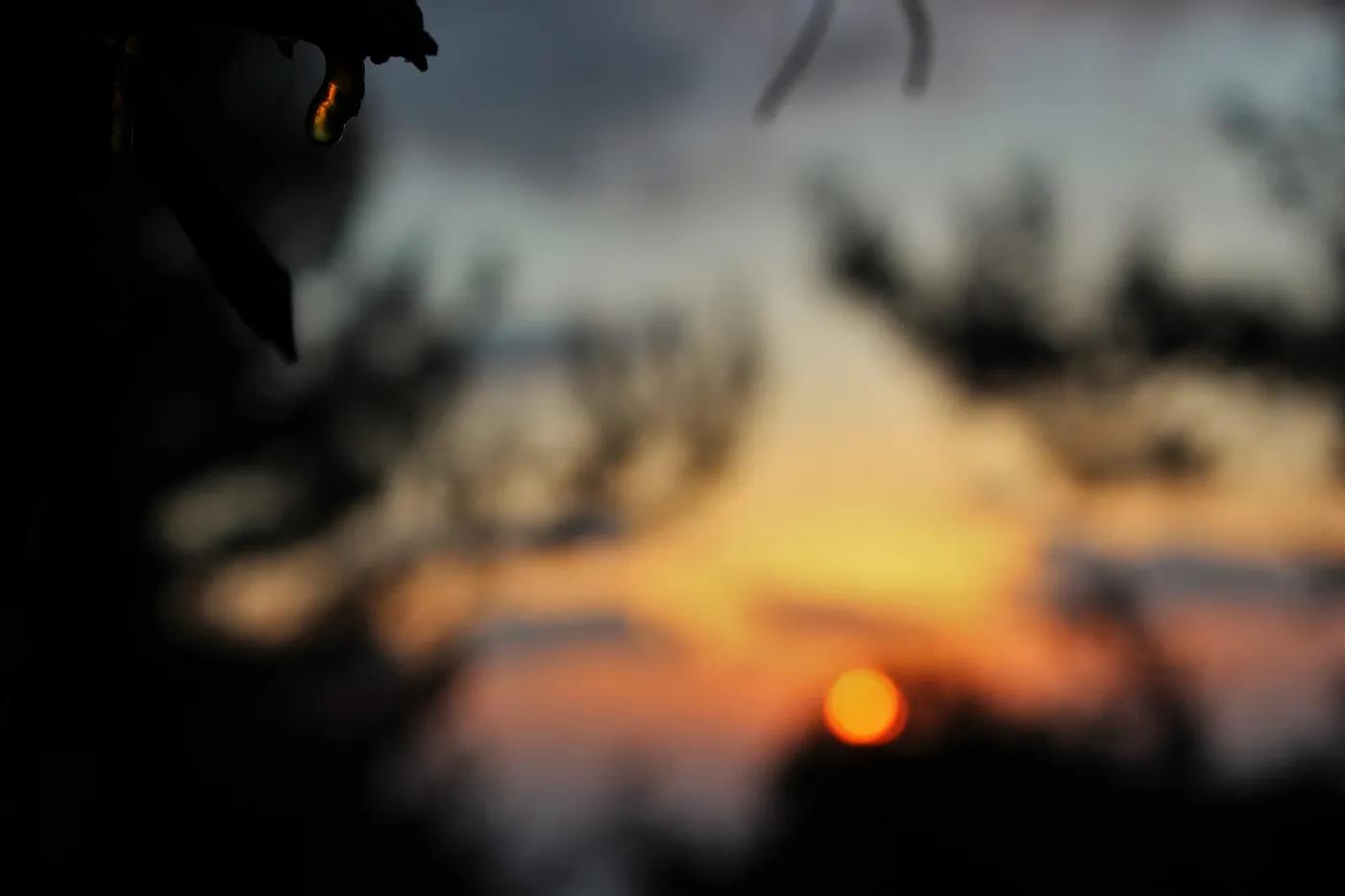 Quelques clichés d'automne par Alexandre Mounayer Quelques cliches d automne par Alexandre Mounayer 9 Quelques cliches d automne par Alexandre Mounayer 9