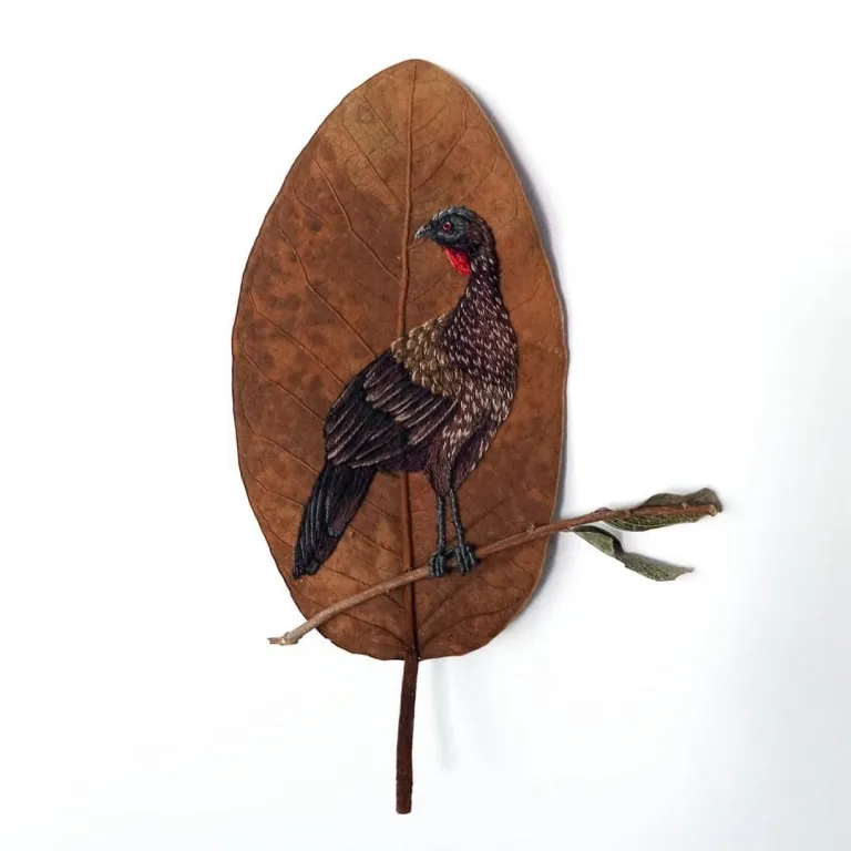 Des broderies d' oiseaux sur des feuilles mortes broderies d oiseaux sur des feuilles mortes par Laura Dalla Vecchia 10 broderies d oiseaux sur des feuilles mortes par Laura Dalla Vecchia 10