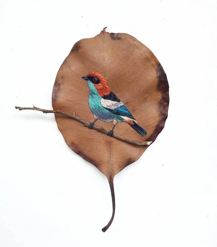 Des broderies d' oiseaux sur des feuilles mortes broderies d oiseaux sur des feuilles mortes par Laura Dalla Vecchia 11 broderies d oiseaux sur des feuilles mortes par Laura Dalla Vecchia 11