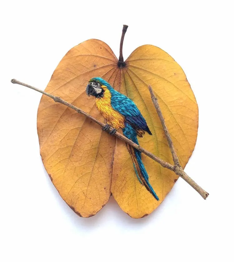 Des broderies d' oiseaux sur des feuilles mortes broderies d oiseaux sur des feuilles mortes par Laura Dalla Vecchia 5 broderies d oiseaux sur des feuilles mortes par Laura Dalla Vecchia 5