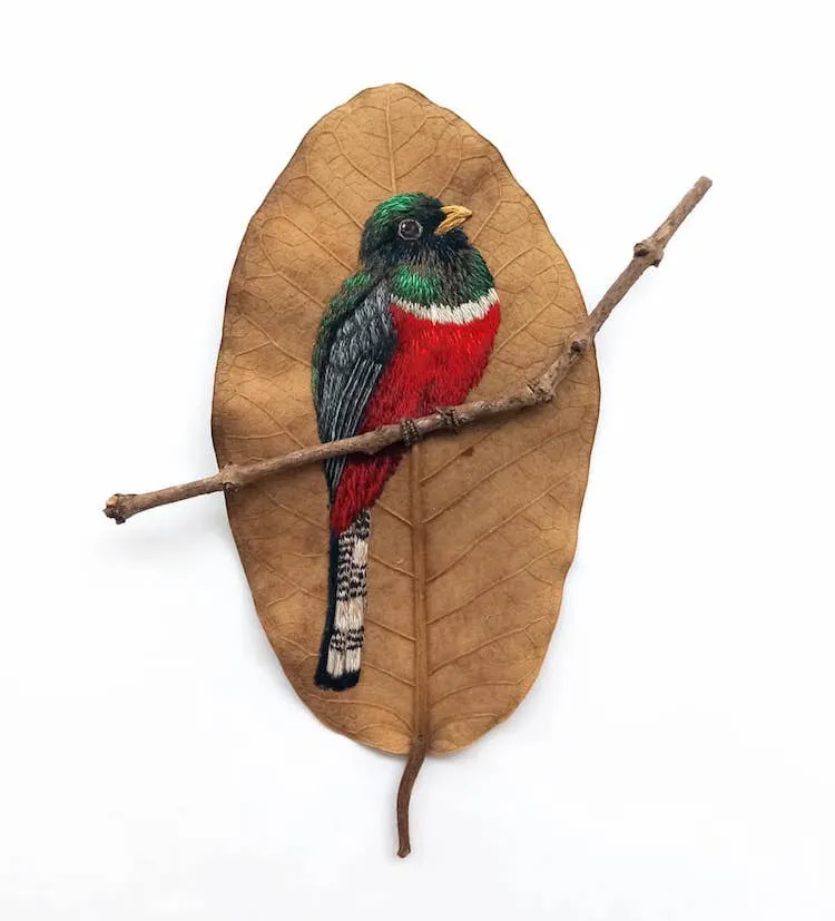 Des broderies d' oiseaux sur des feuilles mortes broderies d oiseaux sur des feuilles mortes par Laura Dalla Vecchia 7 broderies d oiseaux sur des feuilles mortes par Laura Dalla Vecchia 7