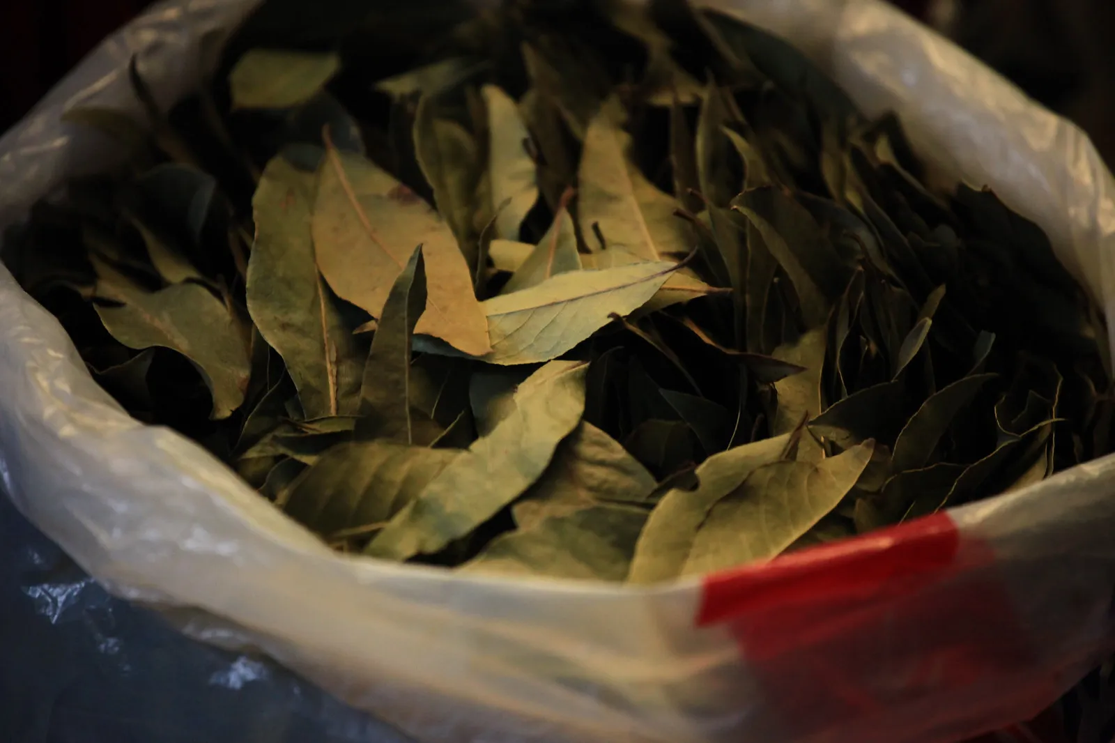feuilles de coca sechees marche bolivie feuilles de coca sechees marche bolivie
