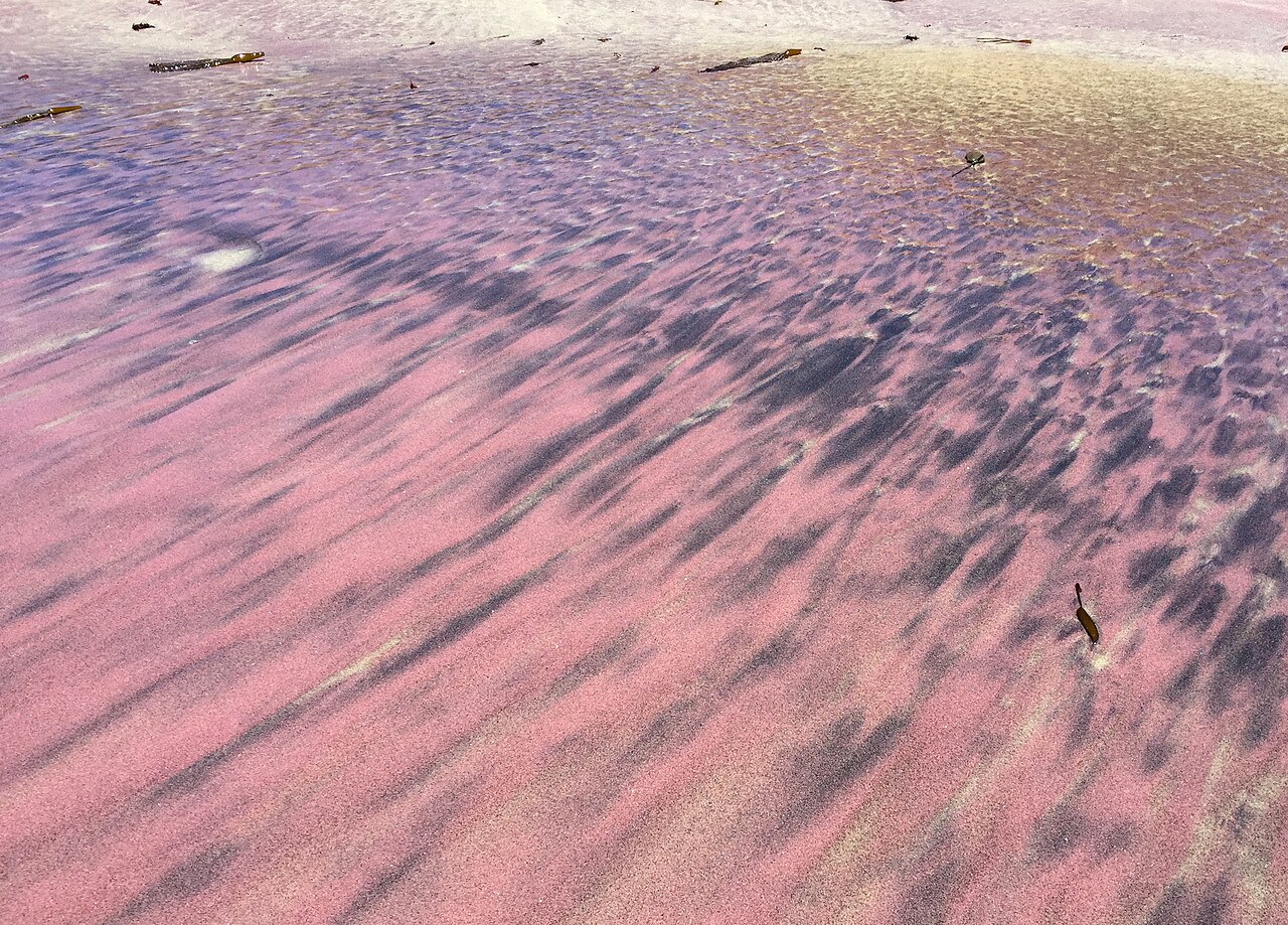 pfeiffer beach sable violet Motifs de sable violet riche en grenat sur Pfeiffer Beach à Big Sur