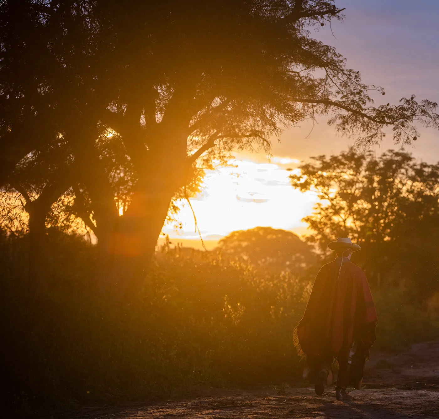 Gaucho - des portraits de gauchos par David Wile Gaucho des portraits de gauchos par David Wile argentine 15 Gaucho des portraits de gauchos par David Wile argentine 15
