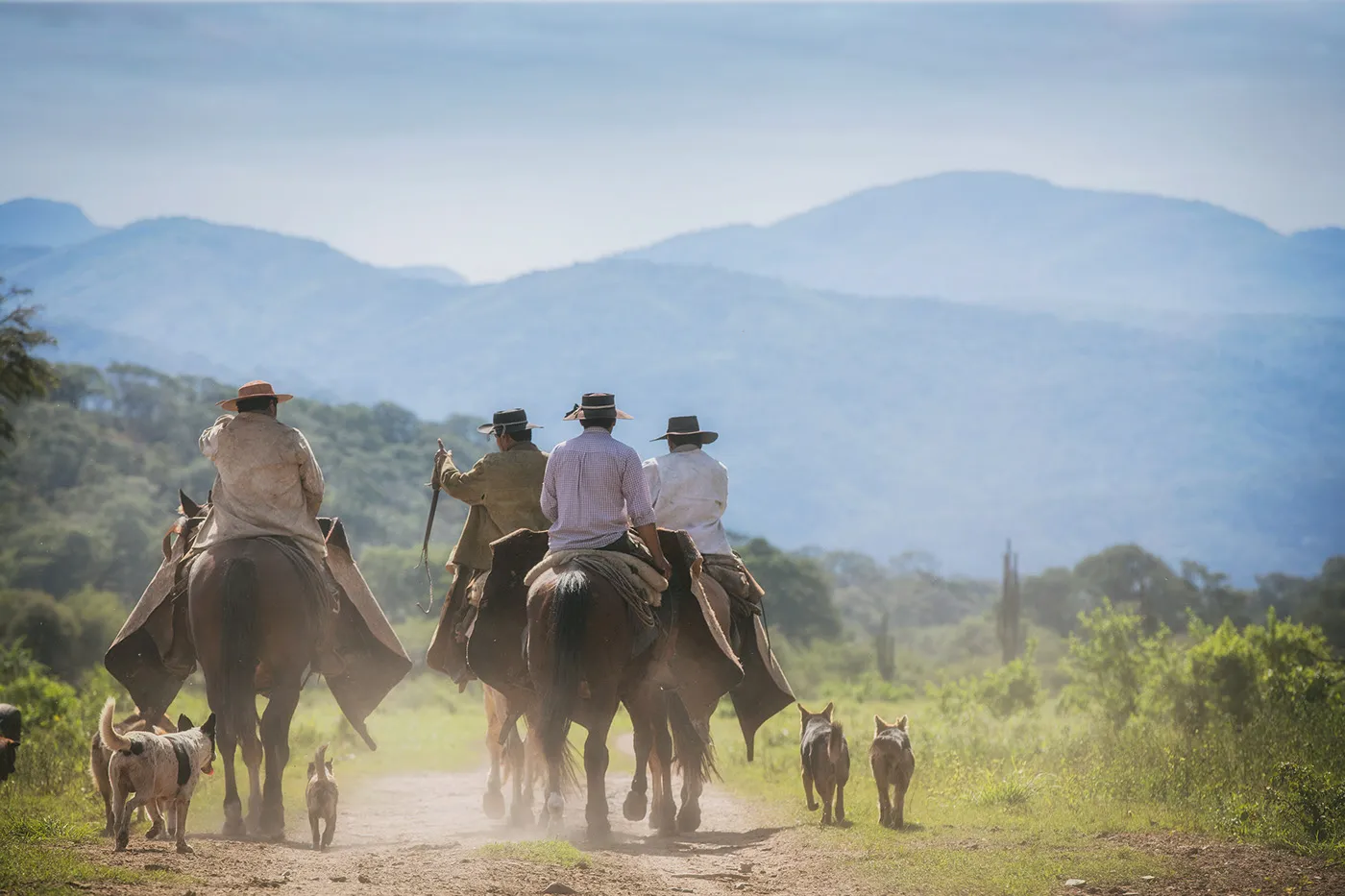 Gaucho - des portraits de gauchos par David Wile Gaucho des portraits de gauchos par David Wile argentine 7 Gaucho des portraits de gauchos par David Wile argentine 7