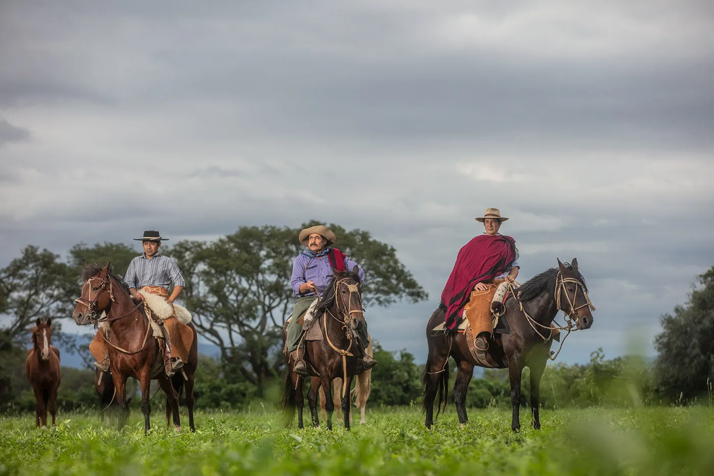 Gaucho - des portraits de gauchos par David Wile Gaucho des portraits de gauchos par David Wile argentine 8 Gaucho des portraits de gauchos par David Wile argentine 8