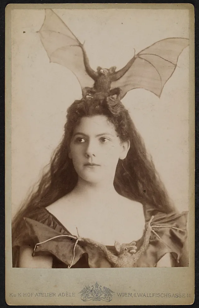 L'actrice autrichienne Marie Schleinzer en costume de chauve-souris fin du 19ème siècle L actrice autrichienne Marie Schleinzer en costume de chauve souris fin du 19eme siecle 2 L-actrice-autrichienne-Marie-Schleinzer-en-costume-de-chauve-souris-fin-du-19eme-siecle