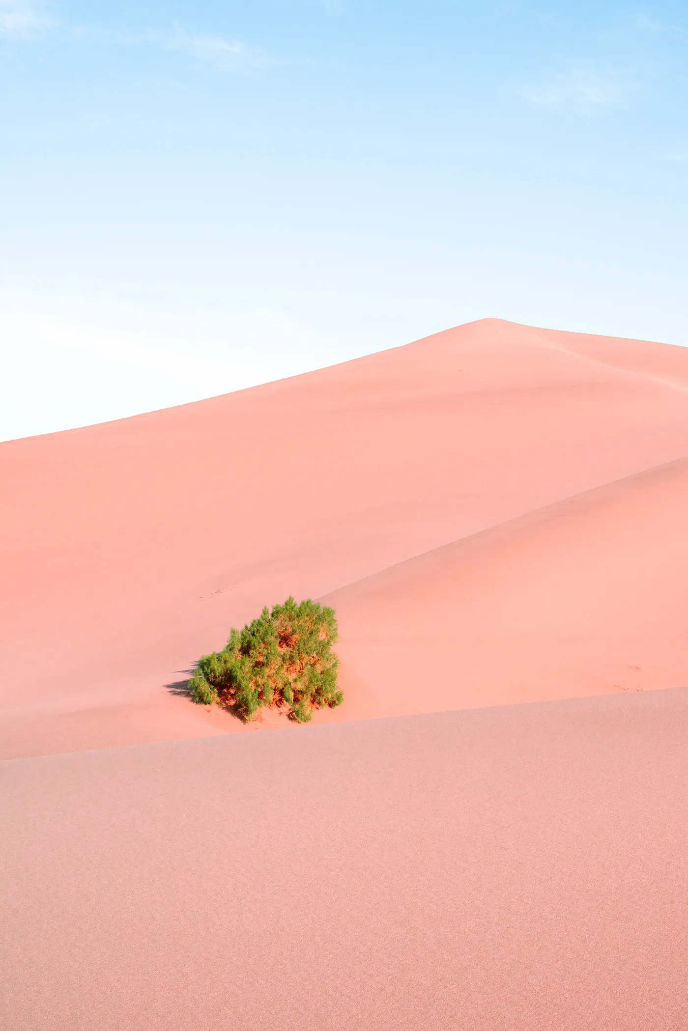Le sable chantant des dunes de Mingsha Le sable chantant des dunes de Mingsha desert dunhuang chine oasis 7 Le-sable-chantant-des-dunes-de-Mingsha-desert-dunhuang-chine-oasis