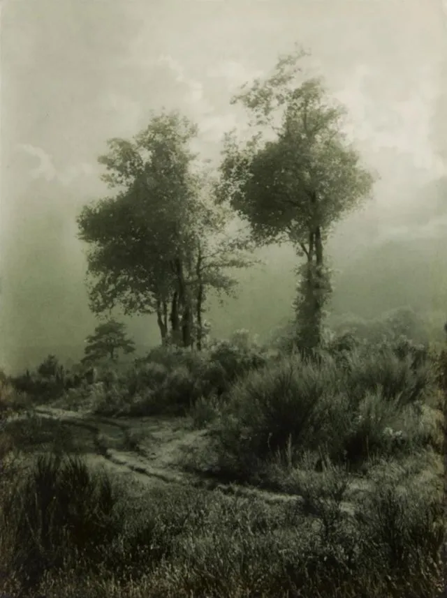 Les splendides photographies atmosphériques du pictoraliste Léonard Misonne Les splendides photographies atmospheriques du pictoraliste Leonard Misonne pictorialisme impressionnisme flou 27 Les-splendides-photographies-atmospheriques-du-pictoraliste-Leonard-Misonne-pictorialisme-impressionnisme-flou