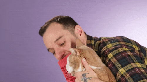 Licki, une étrange brosse pour lécher son chat Licki une etrange brosse pour lecher son chat 3 Licki-une-etrange-brosse-pour-lecher-son-chat