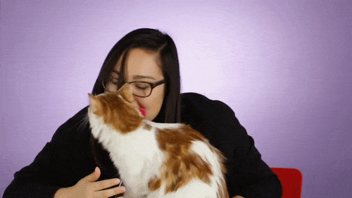 Licki, une étrange brosse pour lécher son chat Licki une etrange brosse pour lecher son chat 7 Licki-une-etrange-brosse-pour-lecher-son-chat