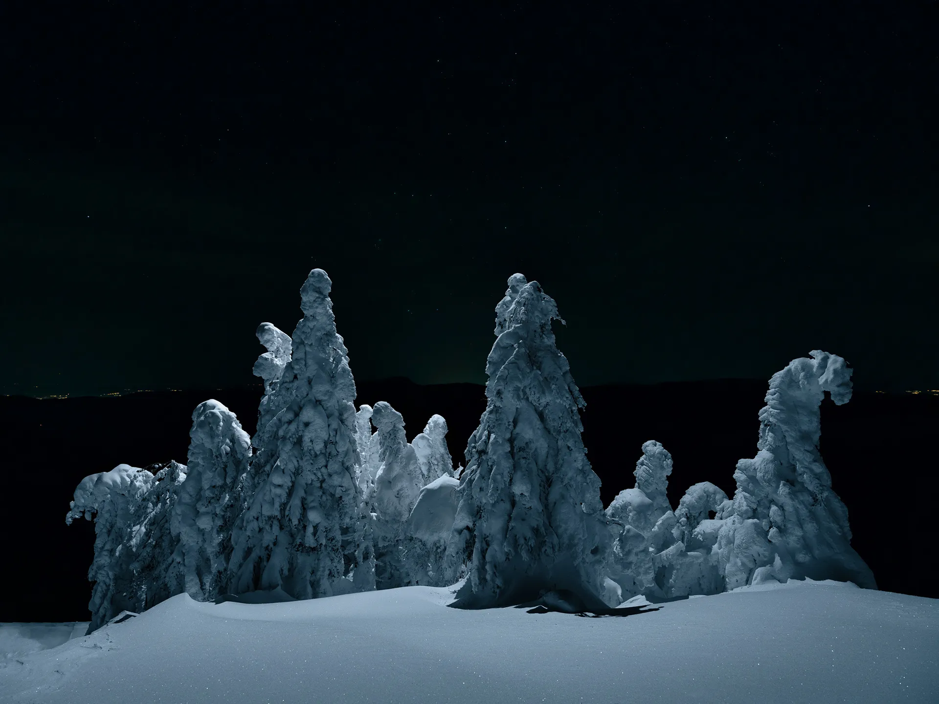 Aerial light - la beauté nocturne des sapins sous la neige Aerial light la beaute nocturne des sapins sous la neige 10 Aerial-light-la-beaute-nocturne-des-sapins-sous-la-neige