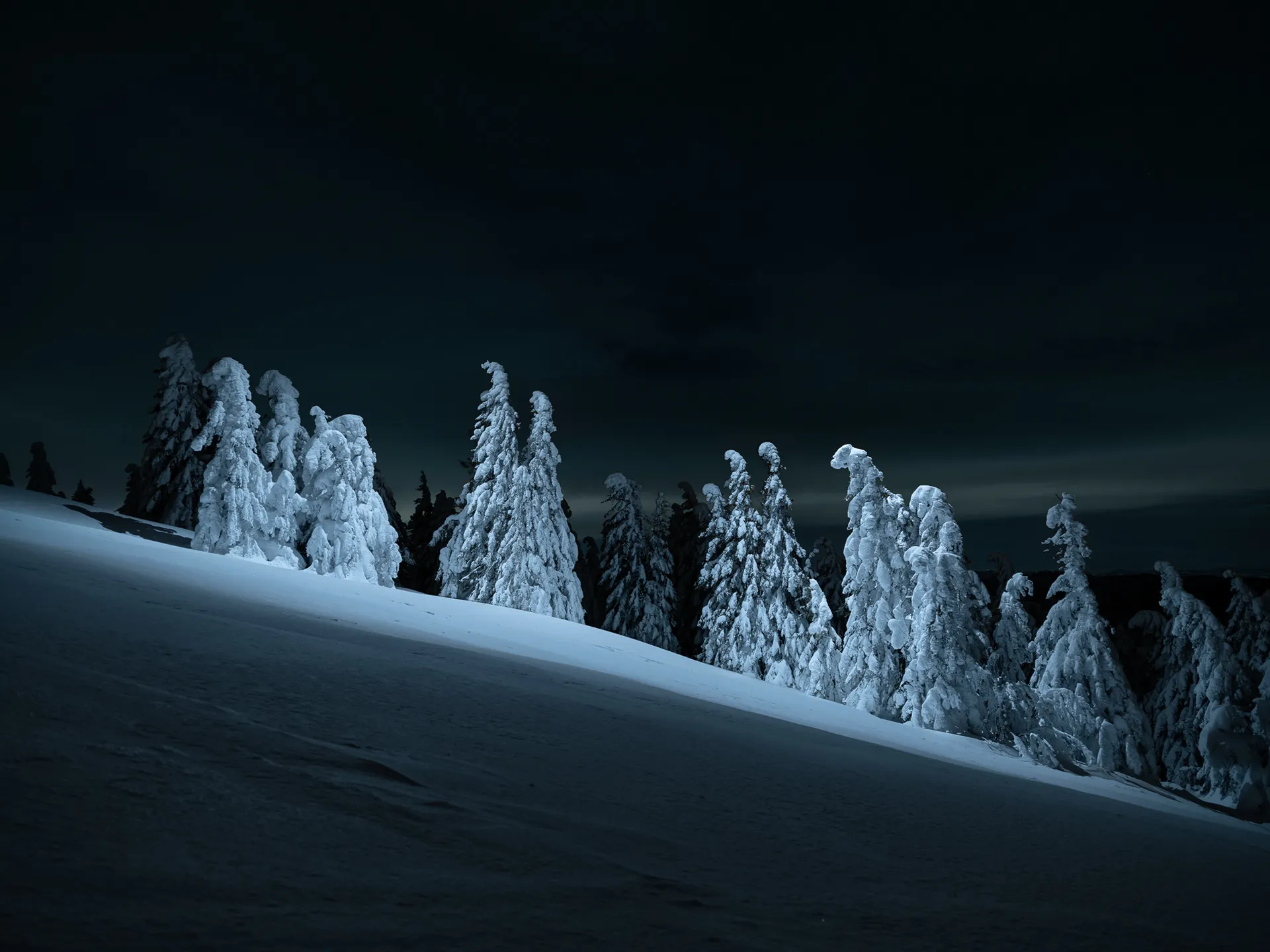 Aerial light - la beauté nocturne des sapins sous la neige Aerial light la beaute nocturne des sapins sous la neige 5 Aerial-light-la-beaute-nocturne-des-sapins-sous-la-neige