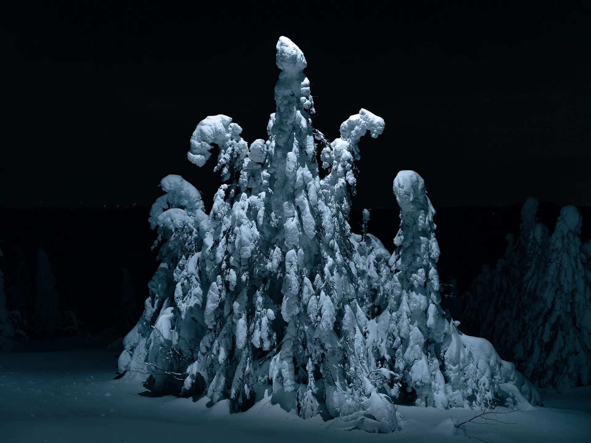 Aerial light - la beauté nocturne des sapins sous la neige Aerial light la beaute nocturne des sapins sous la neige 8 Aerial-light-la-beaute-nocturne-des-sapins-sous-la-neige