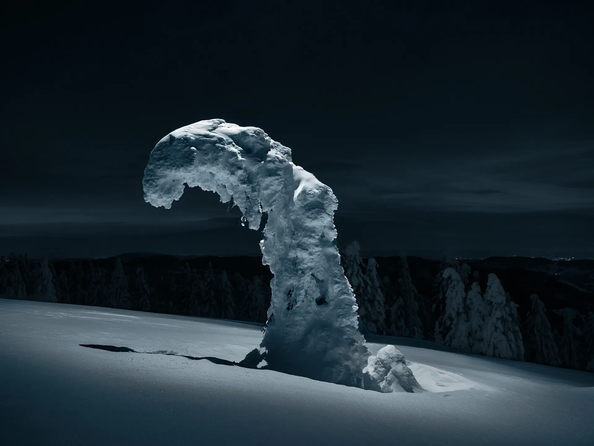 Aerial light - la beauté nocturne des sapins sous la neige Aerial light la beaute nocturne des sapins sous la neige 9 Aerial-light-la-beaute-nocturne-des-sapins-sous-la-neige