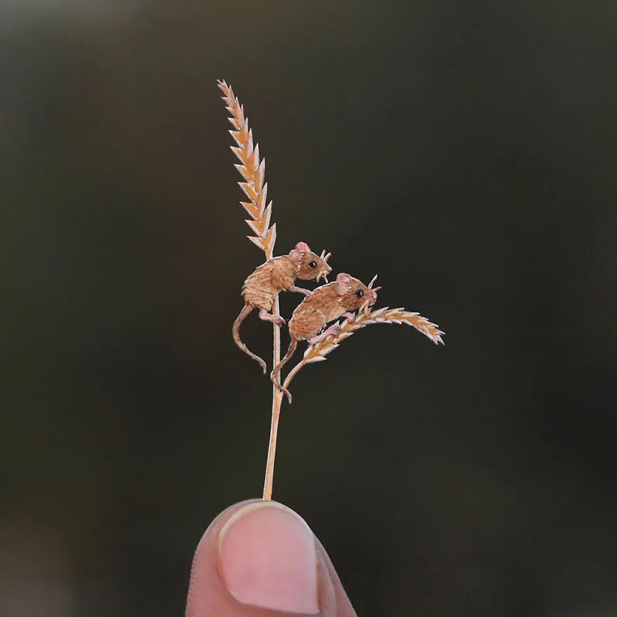 Des animaux de papier miniatures pour sensibiliser à la vie sauvage Des animaux de papier miniatures pour sensibiliser a la vie sauvage 16 Des-animaux-de-papier-miniatures-pour-sensibiliser-a-la-vie-sauvage