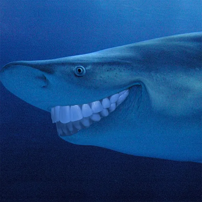 Des requins avec des dents humaines Des requins avec des dents humaines photoshop surrealiste hybride 11 Des-requins-avec-des-dents-humaines-photoshop-surrealiste-hybride