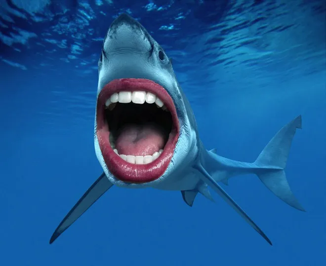 Des requins avec des dents humaines Des requins avec des dents humaines photoshop surrealiste hybride 14 Des-requins-avec-des-dents-humaines-photoshop-surrealiste-hybride