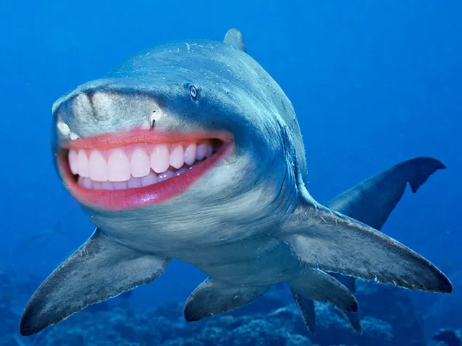 Des requins avec des dents humaines Des requins avec des dents humaines photoshop surrealiste hybride 18 Des-requins-avec-des-dents-humaines-photoshop-surrealiste-hybride