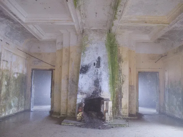 La station de Bokor, ville abandonnée du Cambodge La station de Bokor ville abandonnee du Cambodge station climatique 8 La-station-de-Bokor-ville-abandonnee-du-Cambodge-station-climatique-8